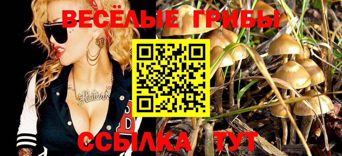 Дербент  Псилоцибиновые грибы мухоморы  Вход с VPN 